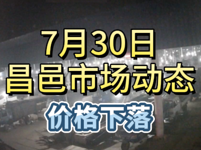 7月30日 琨福市場大姜價格（價格下落） ()