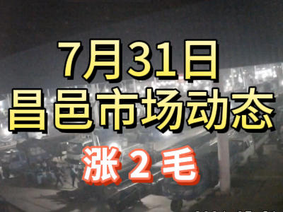 7月31日 琨福市場大姜價格（漲2毛） ()