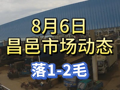 8月6日 琨福市場大姜價格（落1-2毛） ()