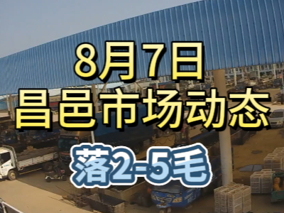 8月7日 琨福市場大姜價格（落2-5毛） ()