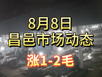 8月8日 琨福市場大姜價格（漲1-2毛） ()