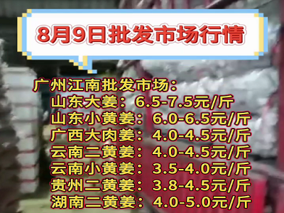 8月9日廣州江南批發市場生姜價格行情 ()