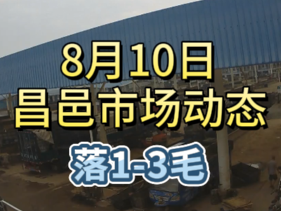 8月10日 琨福市場大姜價格（落1-3毛） ()