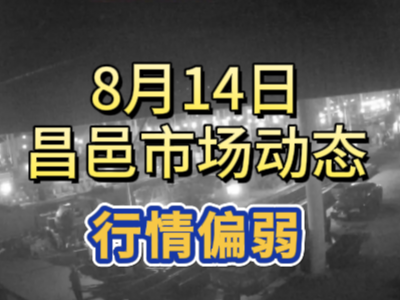 8月14日 琨福市場大姜價格（行情偏弱） ()