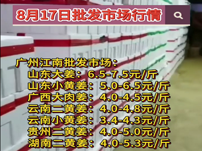 8月17日廣州江南批發市場生姜價格行情 ()