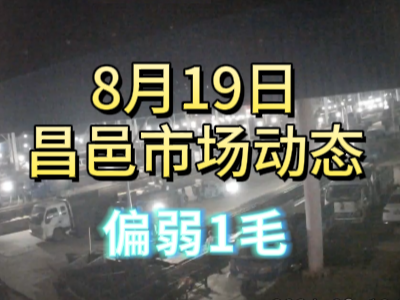 8月19日 琨福市場大姜價格（偏弱1毛） ()