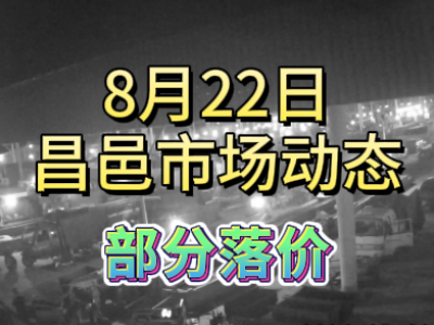 8月22日 琨福市場大姜價格（部分落價） ()