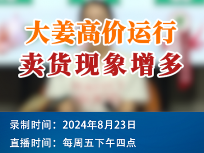 農情漫談：大姜高價運行 賣貨現象增多 ()