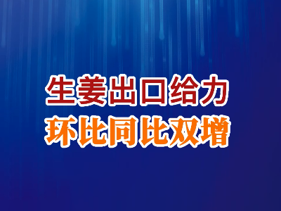 老石說姜：生姜出口給力 環比同比雙增 ()