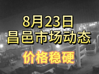 8月23日 琨福市場大姜價格（價格穩硬） ()