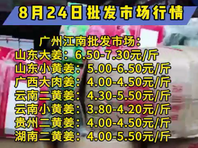 8月24日廣州江南批發市場生姜價格行情 ()