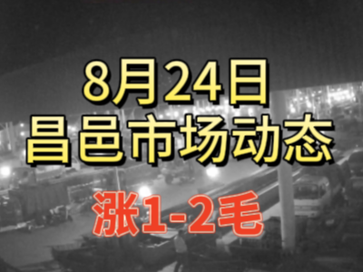 8月24日 琨福市場大姜價格（漲1-2毛） ()