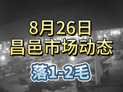 8月26日 琨福市場大姜價格（落1-2毛） ()