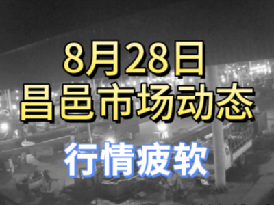 8月28日 琨福市場大姜價格（行情疲軟） ()