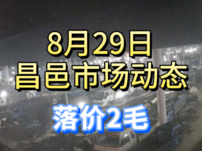 8月29日 琨福市場大姜價格（落價2毛） ()