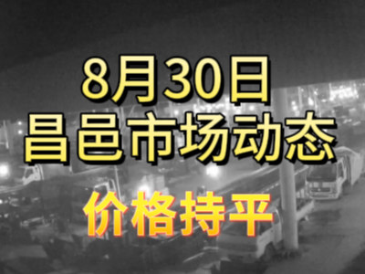 8月30日 琨福市場大姜價格（價格持平） ()