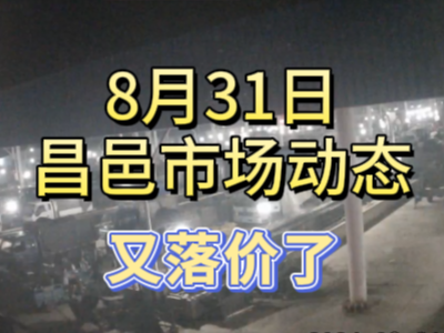 8月31日 琨福市場大姜價格（又落價了） ()