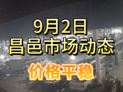 9月2日 琨福市場大姜價格（價格平穩） ()