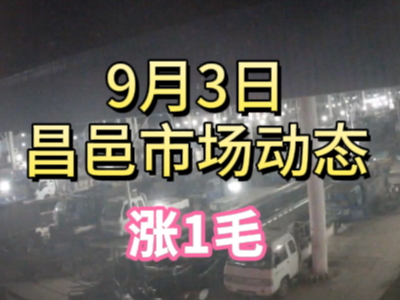 9月3日 琨福市場大姜價格（漲1毛） ()