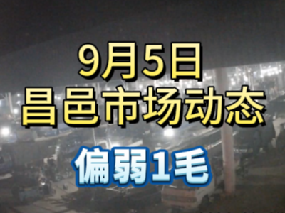 9月5日 琨福市場大姜價格（偏弱1毛） ()