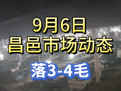 9月6日 琨福市場大姜價格（落3-4毛） ()