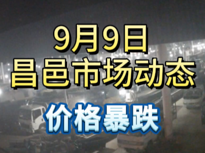 9月9日 琨福市場大姜價格（價格暴跌） ()