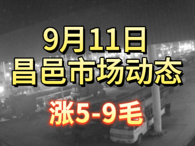 9月11日 琨福市場大姜價格（漲5-9毛） ()