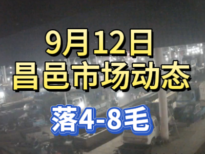 9月12日 琨福市場大姜價格（落4-8毛） ()