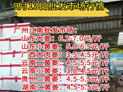 9月13日廣州江南批發市場生姜價格行情 ()