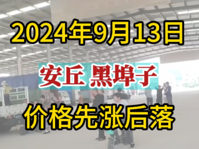 9月13日下午安丘黑埠子市場（先漲后落） ()