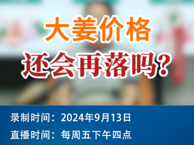 農情漫談：大姜價格還會再落嗎？ ()