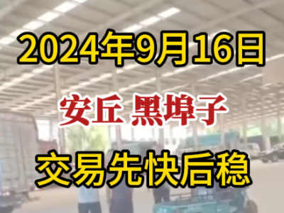 9月16日下午安丘黑埠子市場（先快后穩） ()