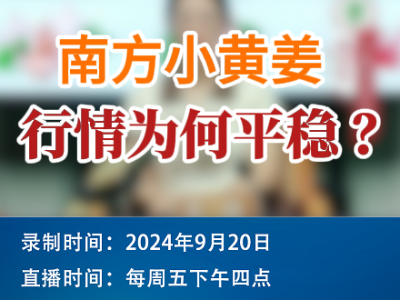 農情漫談：南方小黃姜行情為何平穩？ ()