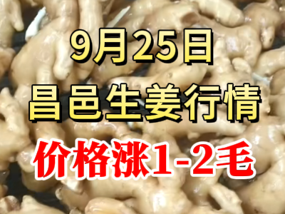 9月25日 昌邑大姜價格行情（價格漲1-2毛） ()