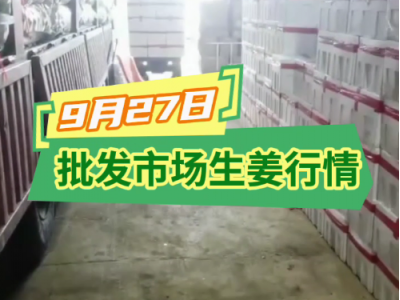 9月27日廣州江南批發市場生姜價格行情 ()