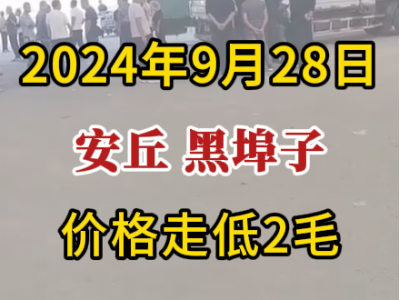 9月28日下午安丘黑埠子市場（價格走低2毛） ()