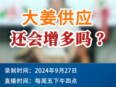 農情漫談：大姜供應還會增多嗎？ ()