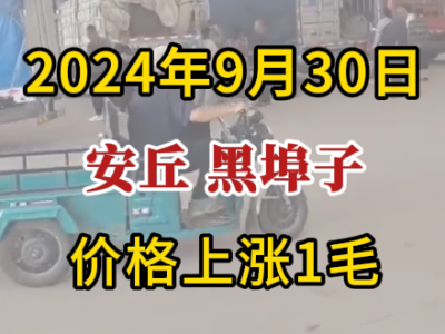 9月30日下午安丘黑埠子市場（價格漲1毛） ()