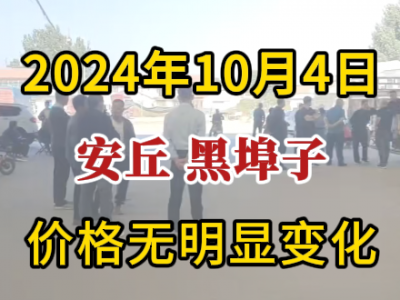 10月4日下午安丘黑埠子市場（價格無明顯變化） ()