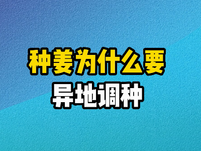 種姜為什么要異地調種？ ()