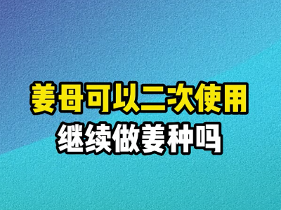 姜母可以二次使用繼續做姜種嗎？ ()