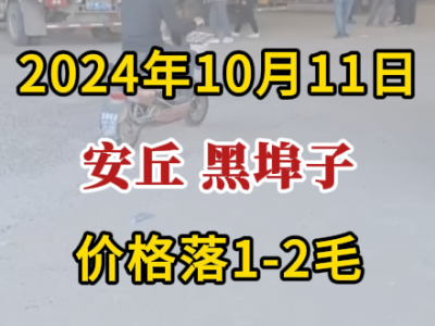 10月11日下午安丘黑埠子市場（價格落1-2毛） ()