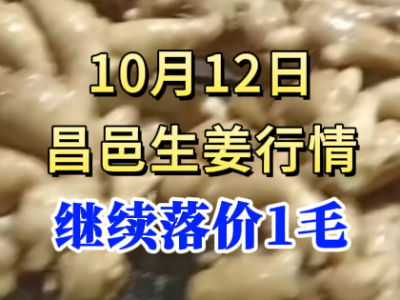 10月12日 昌邑大姜價格行情（繼續落價1毛） ()