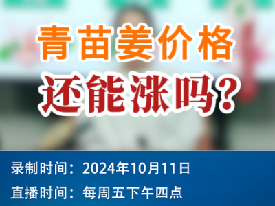 農情漫談：青苗姜價格還能漲嗎？ ()