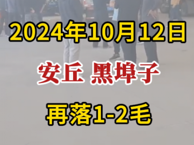 10月12日下午安丘黑埠子市場（再落1-2毛） ()