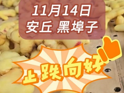 10月14日下午安丘黑埠子市場（止跌向好） ()