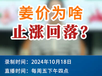 農情漫談：姜價為啥止漲回落？ ()