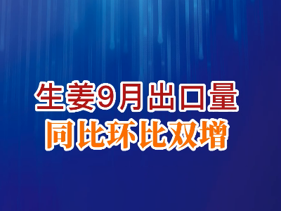 老石說姜：生姜9月出口量同比環比雙增 ()