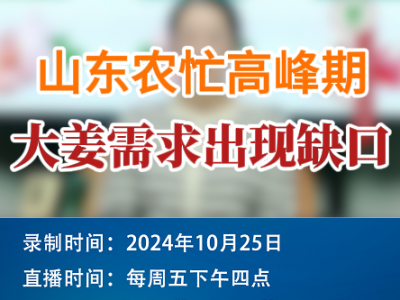 農情漫談：山東農忙高峰期 大姜需求出現缺口 ()