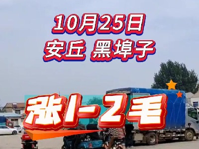 10月25日 安丘黑埠子（漲1-2毛） ()